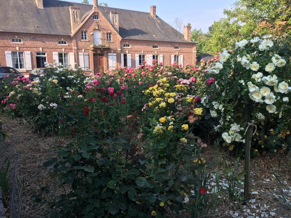 Domaine Des Celestins Bed & Breakfast Bernay-en-Ponthieu Bagian luar foto